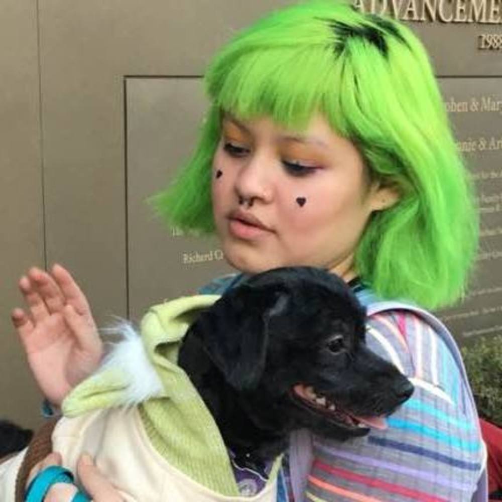 Meet your Posher, Adadmari